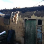 Reponen viviendas afectadas por granizada en Junín