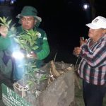 Senasa desarrolla control sanitario en Loreto