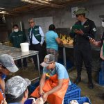 Senasa y autoridades fiscalizadoras intervienen mataderos clandestinos en Ayacucho