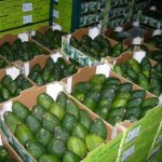 Tailandia puede disfrutar palta Hass peruana desde hoy
