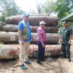 Transfieren madera para su buen aprovechamiento en Ucayali