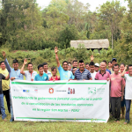 Veedurias forestales indigenas se consolidan en región San Martín