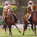 Alistan concurso de caballos de paso en Junín