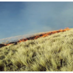 Continúan trabajos de extinción de incendio forestal en Cusco