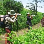 Empezó la temporada de lomas en la Reserva Nacional de Lachay