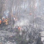 Incendio forestal en el Cusco está controlado