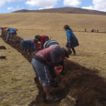 Ayacucho: Construyen zanjas de infiltración para evitar erosión de suelos