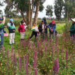 Becas para pasantías en áreas vinculadas del sector agrario