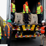 Comunidades indígenas de Madre de Dios exportan cacao fino “libre de deforestación” a Italia