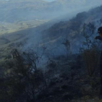 Extinguen incendio forestal que se presentó en el Cusco