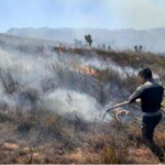 Extinguen incendios forestales en Cajamarca y Pasco