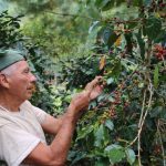 Gobiernos regionales y locales se incorporarán el Sistema Integrado de Estadística Agraria