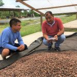 Goresam recomiendó elaborar mapa de sabores del cacao