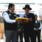 INIA liberó variedades de trigo de alto rendimiento y calidad de grano para agroindustria