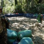 Destruyen siete laboratorios clandestinos de elaboración de PBC en Junín