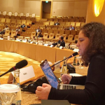 Perú participa en reunión preparatoria mundial para la Cumbre de Acción Climática