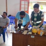 San Martín: Instruyen a técnicos y profesionales en el control de la mosca de la fruta