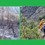 Amazonas: Incendio forestal en Tingo está controlado y en proceso de extinción