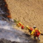 Bomberos forestales del Sernanp liderarán mitigación del incendio forestal cerca a Kuélap