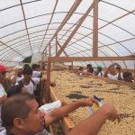 Cafetaleros de San Martín realizaron pasantía en San Ignacio