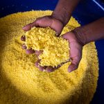 Comunidad ticuna lanzará fariña “amarillita” en Expoamazónica 2019