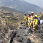 Apurímac: Incendio forestal en distrito de Tamburco fue extinguido