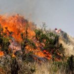 Sepa qué hacer ante ocurrencia de incendios forestales