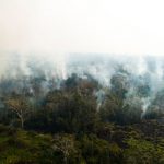 Gobierno central, regional y municipios articulan acciones para evitar incendios forestales en Madre de Dios