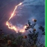 Logran extinguir incendio forestal en la región Cusco