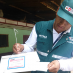 Previenen ingreso de polilla de la papa en Amazonas