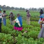 Productores orgánicos certificados pasarían de 30 mil a más de medio millón