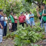 San Martín: Realizan capacitación para mejorar producción cacaotera en Campanilla