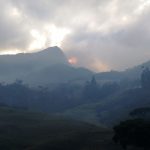 Serfor identificó 21 incendios forestales