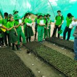 Vraem: Estudiantes participan en pasantía a viveros de proyecto forestal