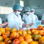 Huánuco: Elaboran normas técnicas que impulsen la producción de la granadilla