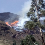 Extinguen 15 incendios forestales