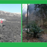 Extinguen dos incencios forestales en la región Cusco