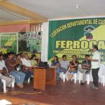 Proponen la creación de la Gerencia Forestal en Madre de Dios