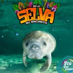 «De la Selva, su Encanto» difunde maravillas del oriente peruano