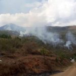 Incendios forestales podrán ser detectados y reportados a tiempo por comunidades indígenas