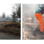 Extinguen incendio forestal en Cajamarca