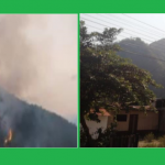 Incendio forestal registrado en Junín fue extinguido en su totalidad