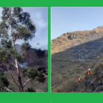 Continúan labores de extinción de incendio forestal en Cusco