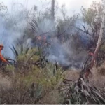 Extinguen incendios forestales en Ucayali