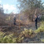 Extinguen incendios forestales en Pasco, Amazonas y Cajamarca