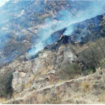 Extinguen ocho incendios forestales en cinco regiones del país
