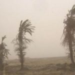 Sepa qué hacer ante la ocurrencia de vientos fuertes