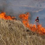 Medidas para prevenir los incendios forestales