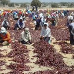 Minagri incrementará su presupuesto para el 2020 en beneficio de los pequeños agricultores