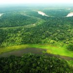 Gobiernos regionales amazónicos avanzan en proceso de zonificación forestal